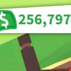 입양하세요 입돈 판매 이미지