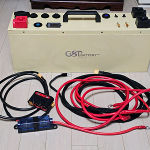 GSP 올인원 인산철 파워뱅크 100A / AC220V 가능 / 30A 주행충전기 내장 / 설치케이블 포함