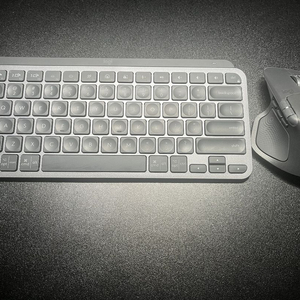 무선 마우스 + 매직키보드 세트