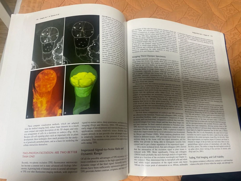 전공 소장 도서 confocal. 컨포컬 핸드북 이미지