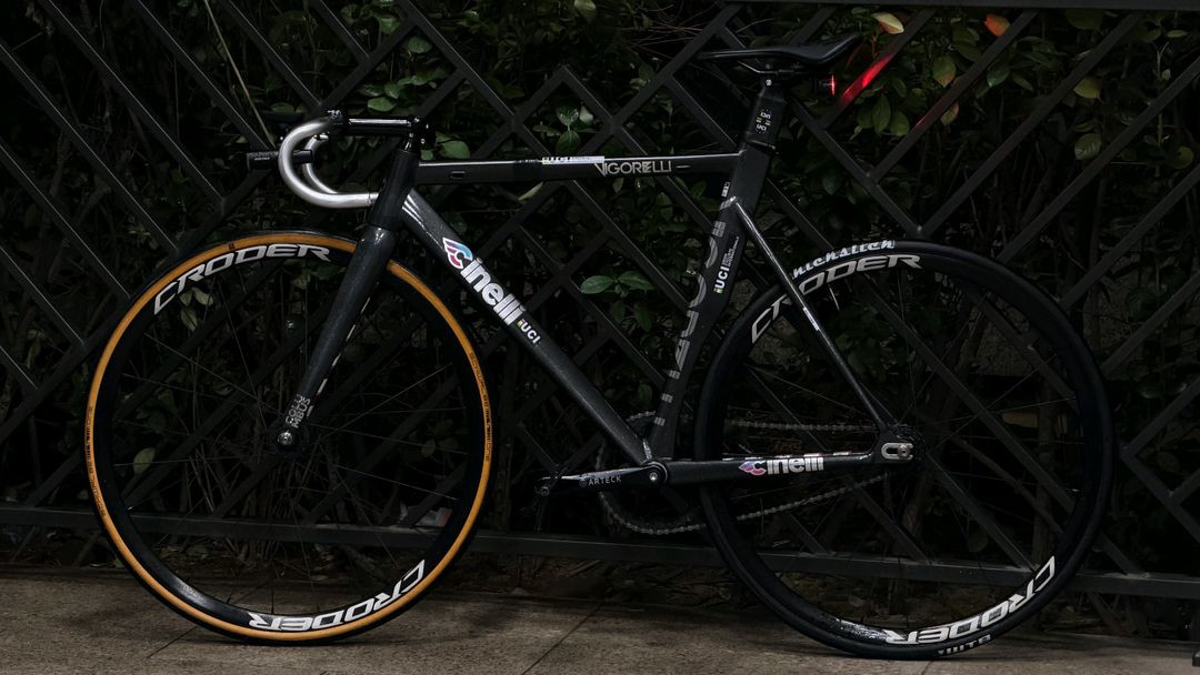 치넬리 비고렐리 레인보우 이미지