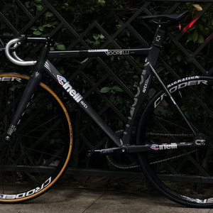 치넬리 비고렐리 레인보우 이미지