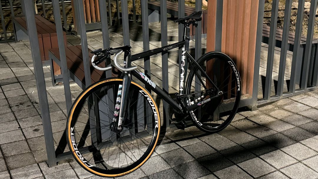 치넬리 비고렐리 레인보우 이미지