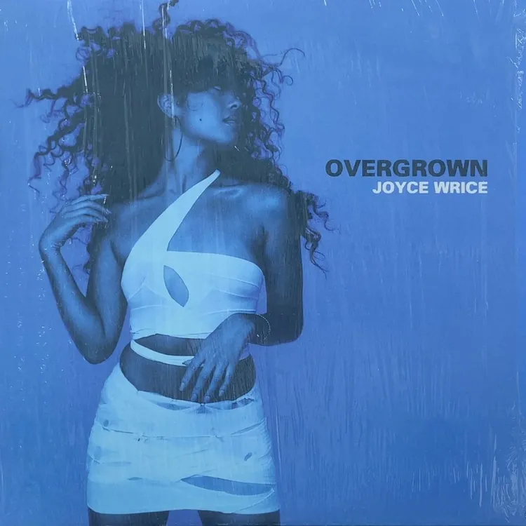 힙합,R&B,Soul,가요 DJ 레코드 12인치 7인치 바이닐(MF Doom,SES, Childish Gambino 이미지
