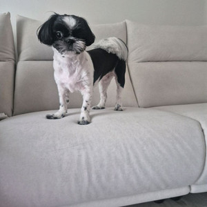 문화상품권 삽니다 (95%) 이미지