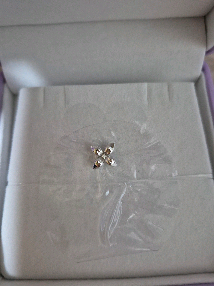 골든듀 펄시피아 쁘띠세트판매해요--2