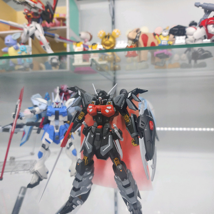 건담 시드 데스티니 프리덤 hg rg 조립완성품--1