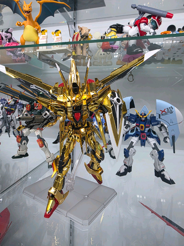 건담 시드 데스티니 프리덤 hg rg 조립완성품--2