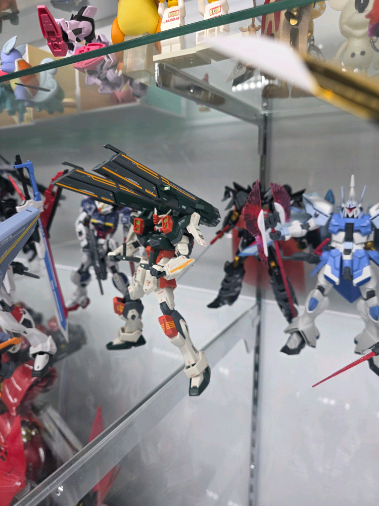 건담 시드 데스티니 프리덤 hg rg 조립완성품--4