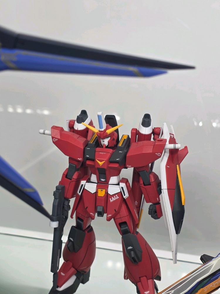건담 시드 데스티니 프리덤 hg rg 조립완성품--5