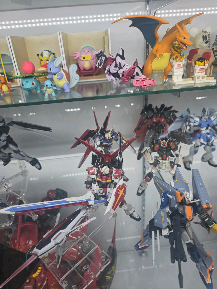 건담 시드 데스티니 프리덤 hg rg 조립완성품--6