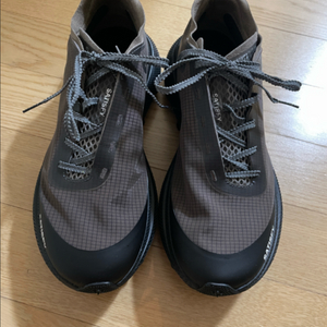 세티스파이 더라커 팔콘색 240