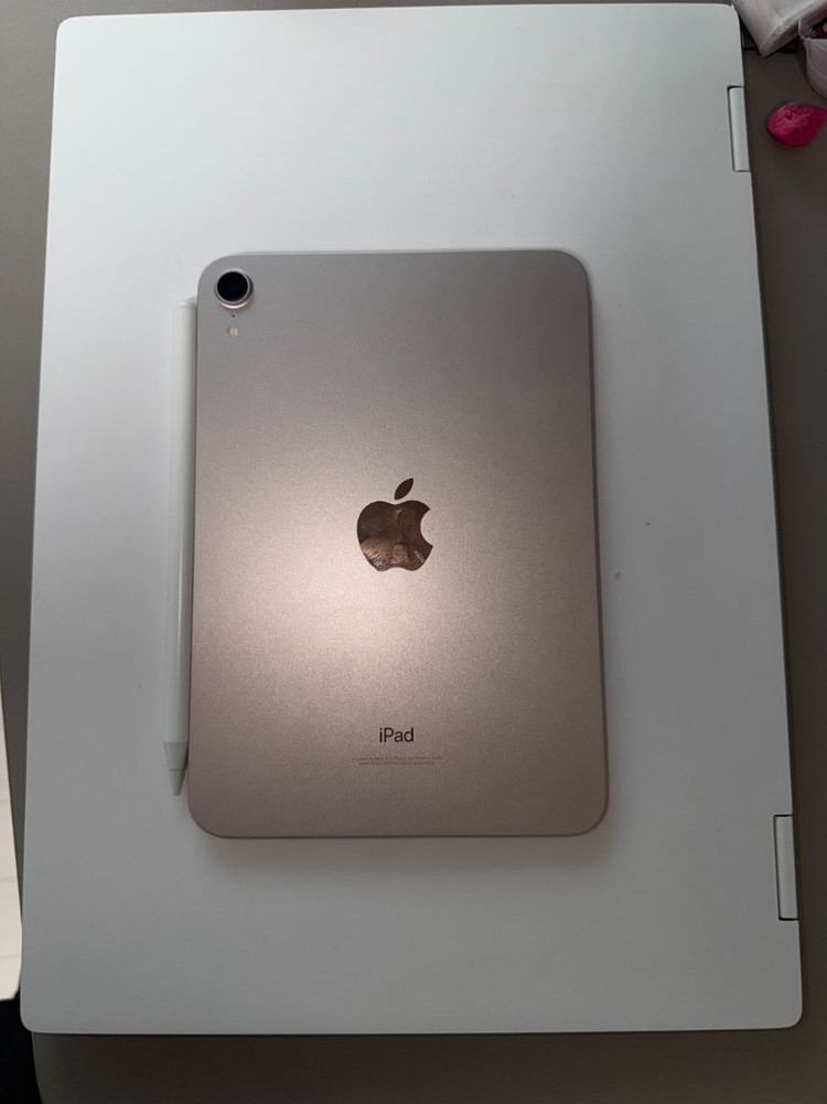 아이패드 미니6 핑크 256 이미지