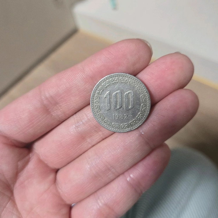 1982년100원동정 이미지