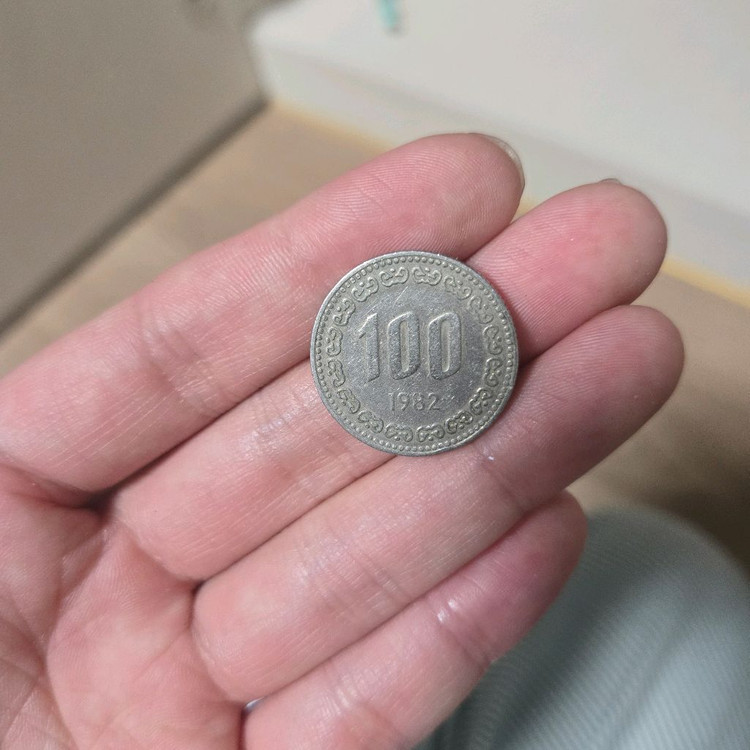 1982년100원동정 이미지