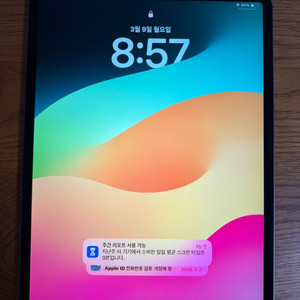 아이패드 프로 12.9 3세대 256GB 셀룰러(애플펜슬 2세대 포함)