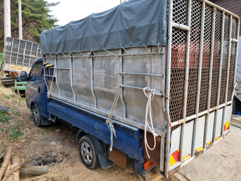 포터2 소차판매--2