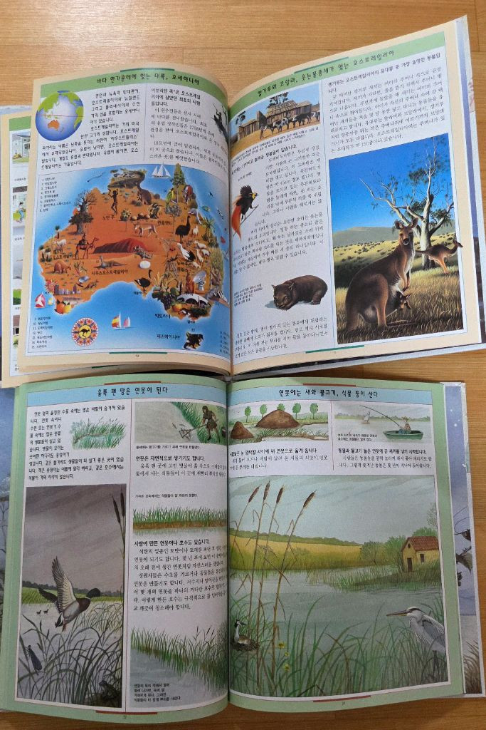 교원 그림으로 보는 테마백과 12권 + 덤 책들 여러권--1