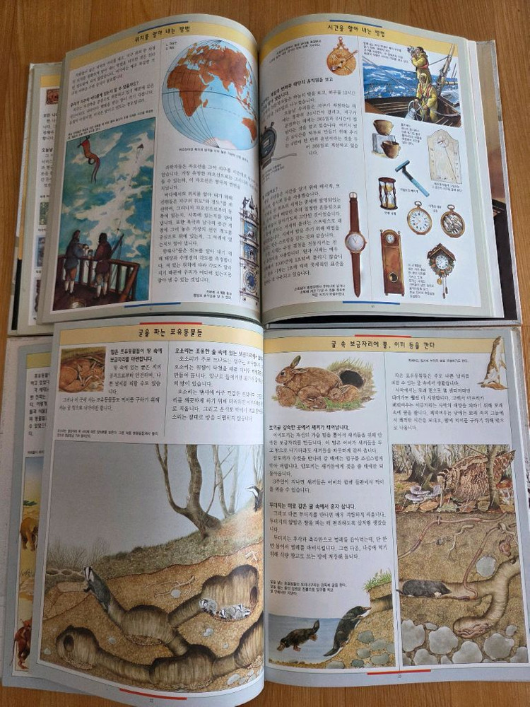 교원 그림으로 보는 테마백과 12권 + 덤 책들 여러권--4