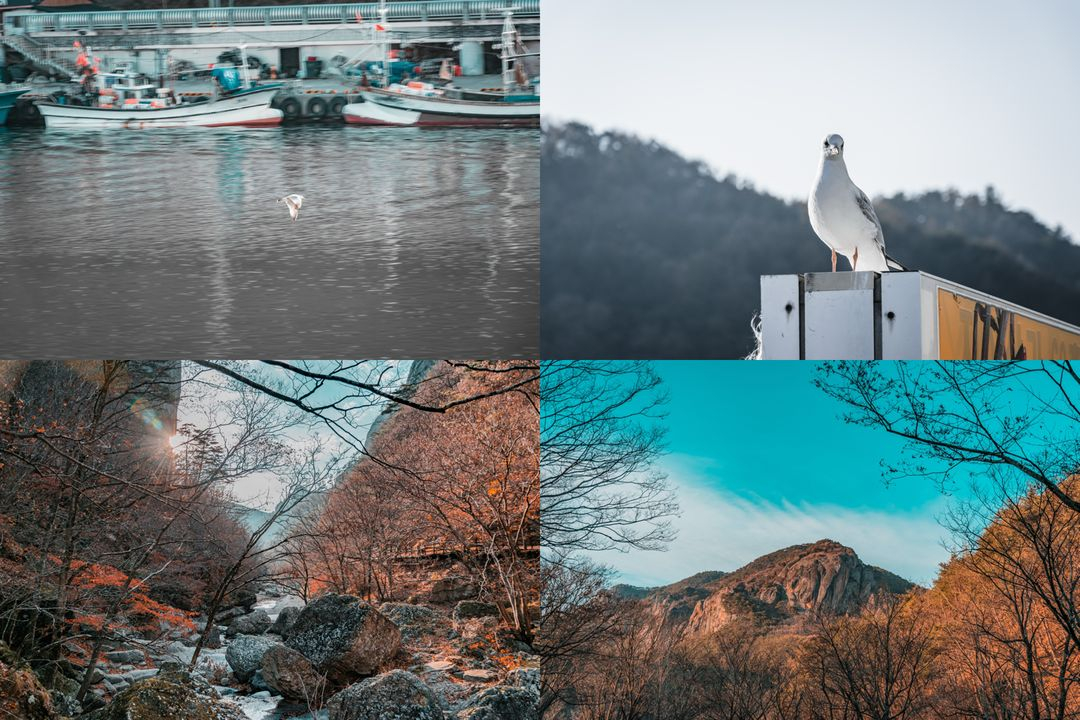 니콘 D5300 + 18-105mm 렌즈 이미지