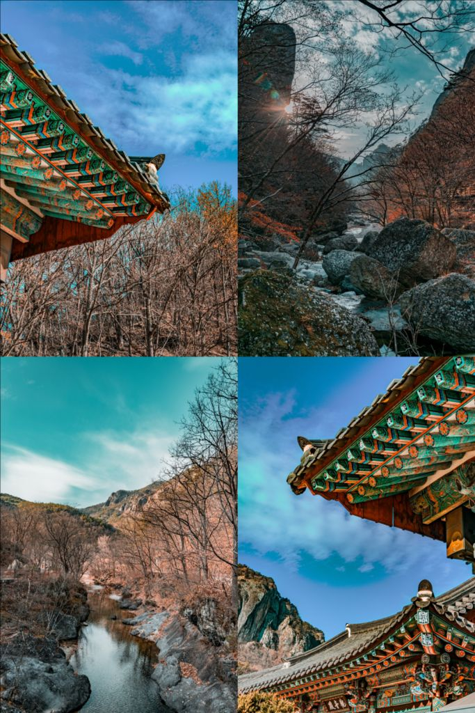 니콘 D5300 + 18-105mm 렌즈 이미지