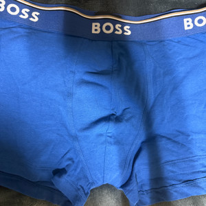 보스 남자 팬티(중고)