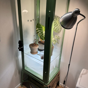 이케아 파브리셰르 온실장