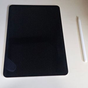 아이패드 에어 5 (256GB) 이미지