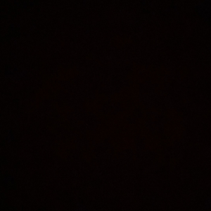 여성용품 레빗형 블랙 이미지