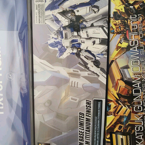 RG하이뉴+RG하이뉴티타늄피니쉬