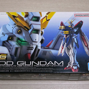 RG 갓건담 + 확장세트 + 델피데칼