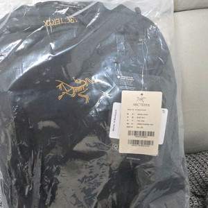 ss26 아크테릭스 멘티스 16 이미지