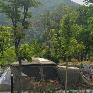 몬테라 마스돔 쉘터 풀세트