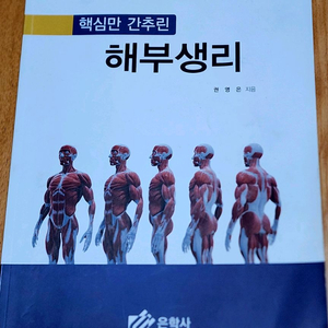 (의학/간호학)해부생리/권영은/은학사