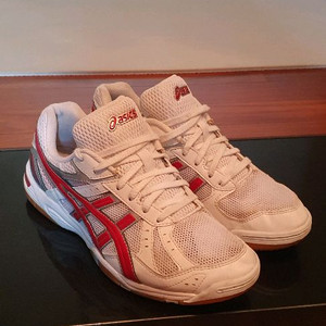 아식스 로테 리브레 FL5