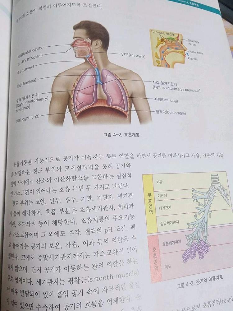 (의학/간호학)인체 생리학/권영은/은학사(컬러판) 이미지