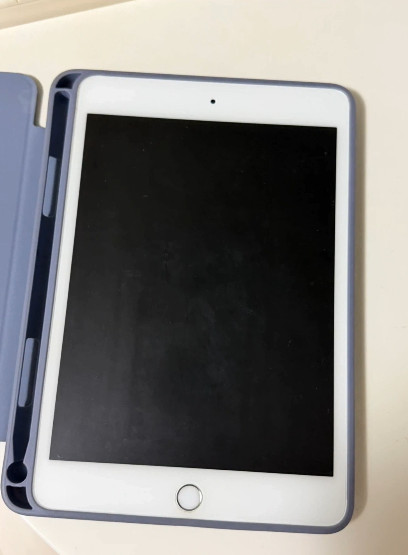 아이패드 미니5 64GB셀룰러 실버--3