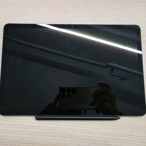 삼성 갤럭시탭 S8 그라파이트 128GB WiFi 자가유통용 판매