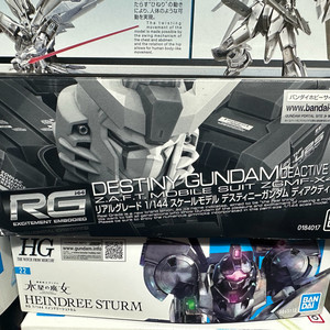 RG 데스티니 건담 디액티브 모드 새상품