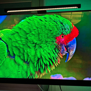 LG My view 32인치 스마트 모니터 4K UHD TV 이미지