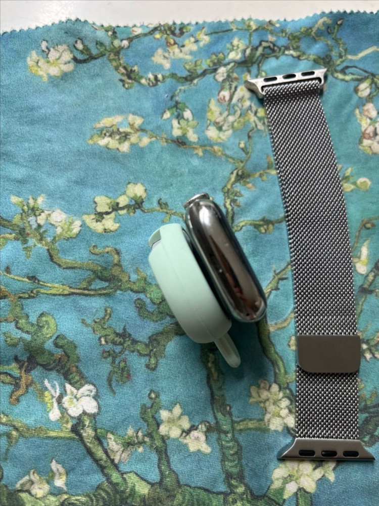 애플워치8스테인리스 41mm 실버--4