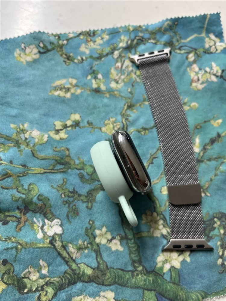 애플워치8스테인리스 41mm 실버--6