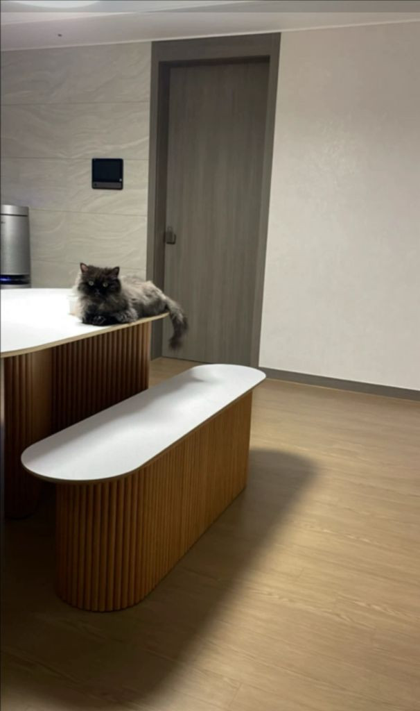 세레스홈 호마이카 테이블 +벤치형의자 이미지