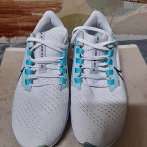 나이키 에어 줌 페가수스38