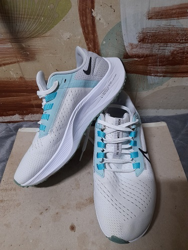 나이키 에어 줌 페가수스38--1