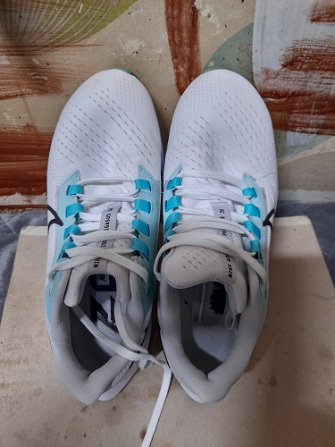 나이키 에어 줌 페가수스38--2