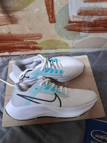 나이키 에어 줌 페가수스38--3