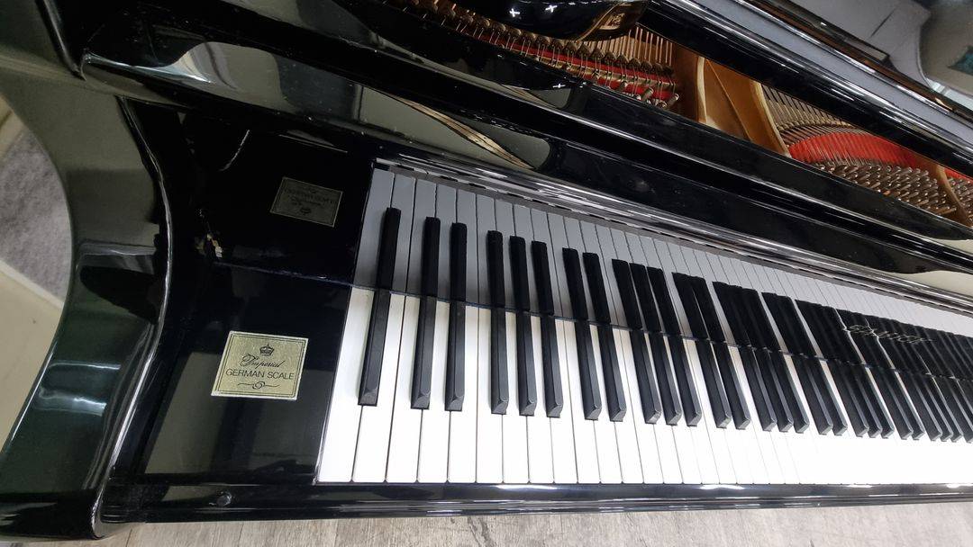 삼익 그랜드피아노 세미콘서트용 G-205 정리중 이미지