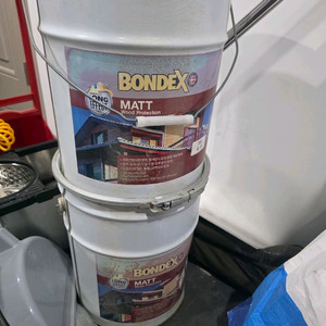 본덱스 오일스테인 2통