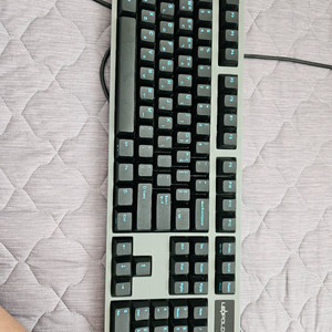 레오폴드 FC900R 저소음적축 키보드